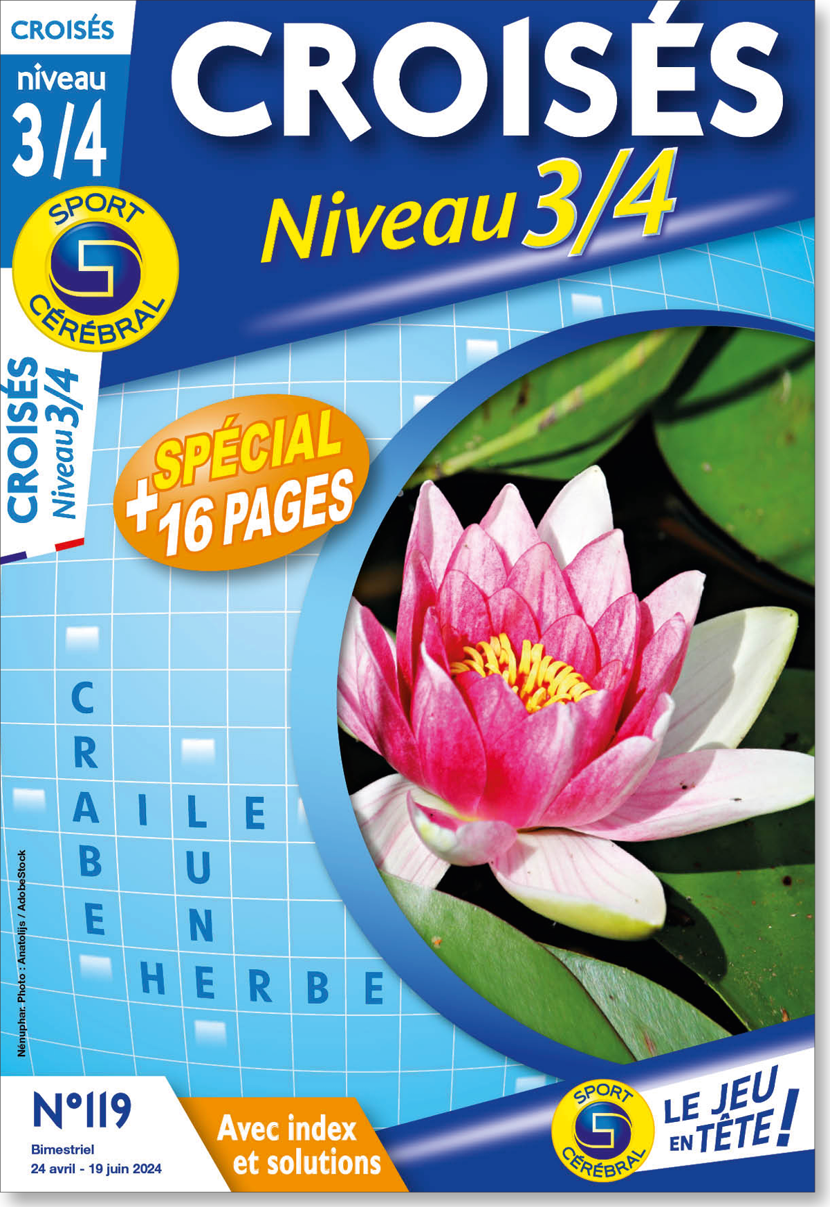 Croisés Niveau 3/4 Numéro 119