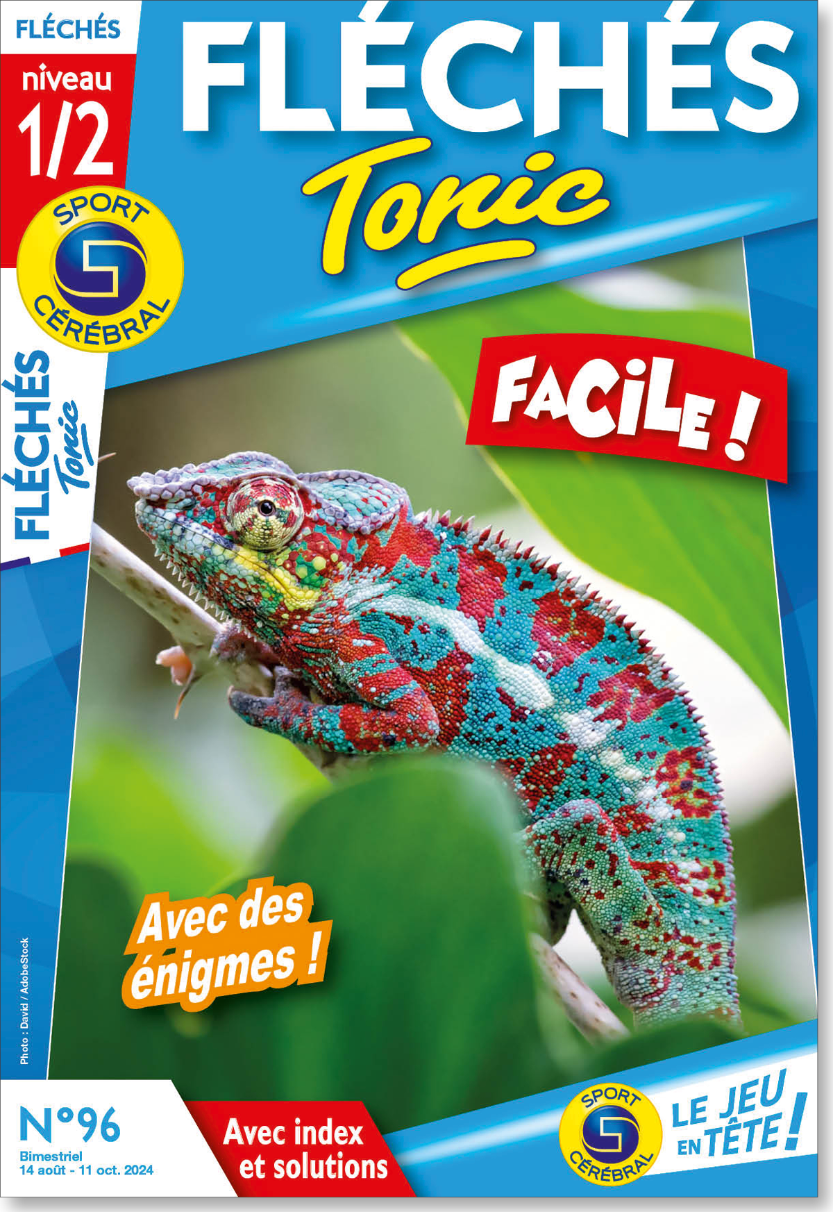 Fléchés Tonic Numéro 96